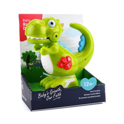 China Plastic Music Light Record Function Kids Educational Toys Dinosaur Toys